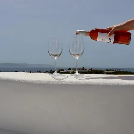Sea View Serenity Paros Villa *
