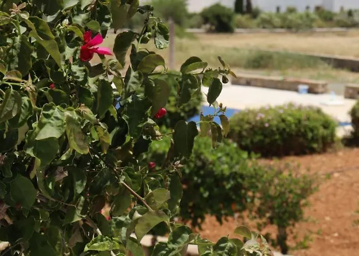 Sea View Serenity Paros * Ambelas